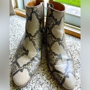 Ankle boots in snakeskin from Lucky Brand